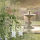 fountain
