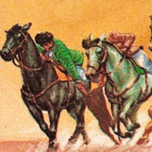 Goat grap/ Goat ball(Buzkashi)