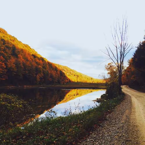 Walks Ban Systematic