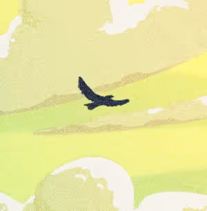 Not Dreaming