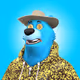 B.Bear