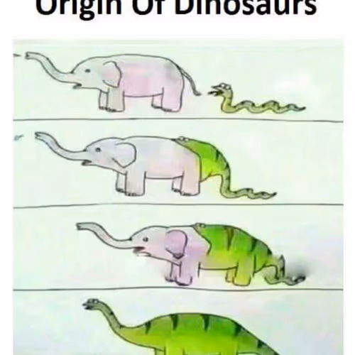 My memes