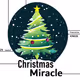 Christmas Miracle