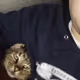 I and cat