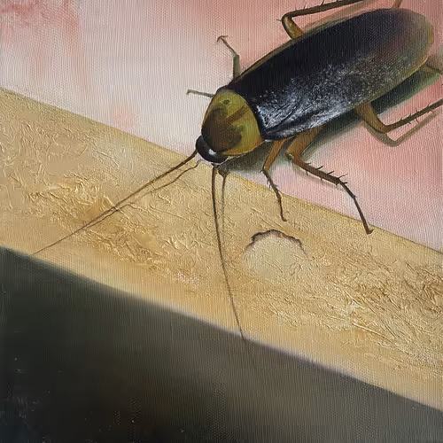 Visitors to my studio