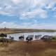 Masai Mara