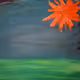 Zora's SuperNova