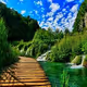 Enjoy Nature
