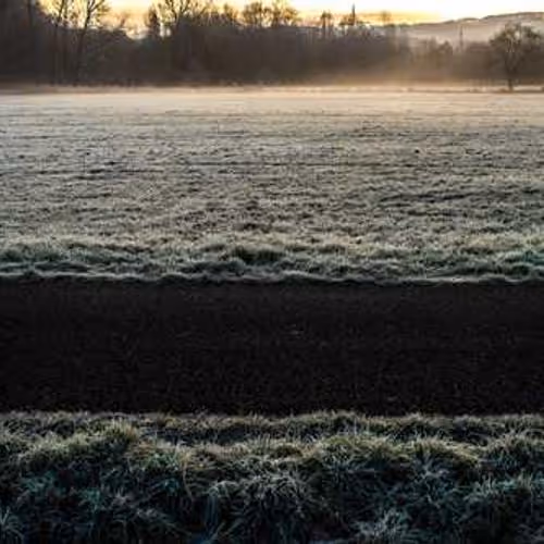 IDIOM HACKSAW VINEGAR SAFETY GESTURE