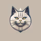 coolcat
