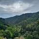 Landscapes