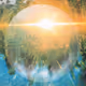 central divine human zorb