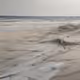 Beach Process