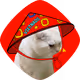 Cat With Hat