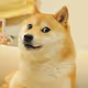 DOGE