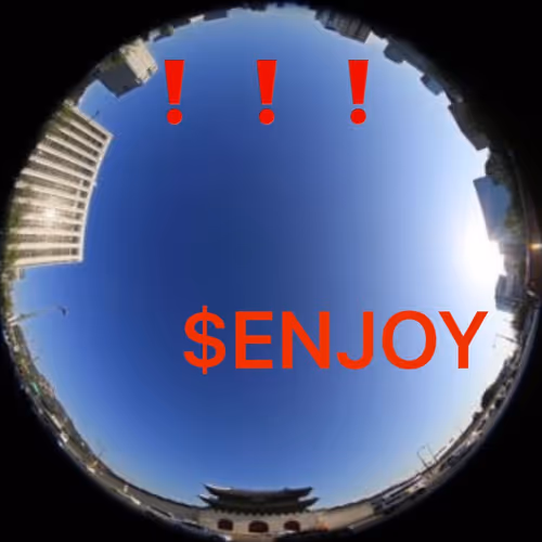 $enjoy city