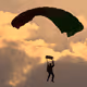 human fly