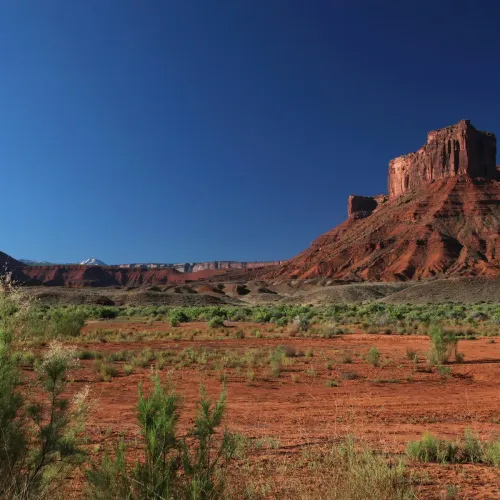 desert