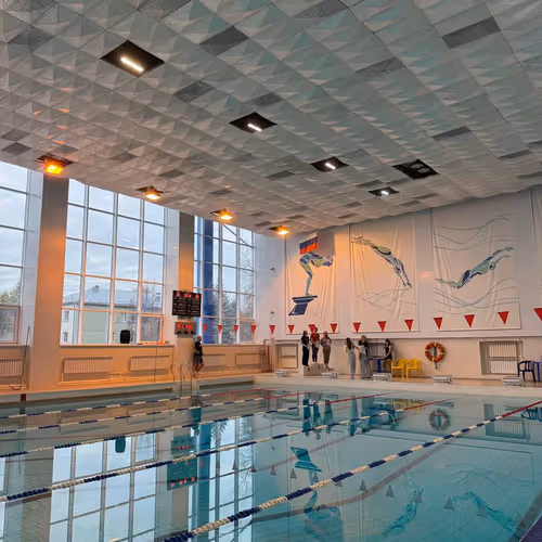 Swimming never alone