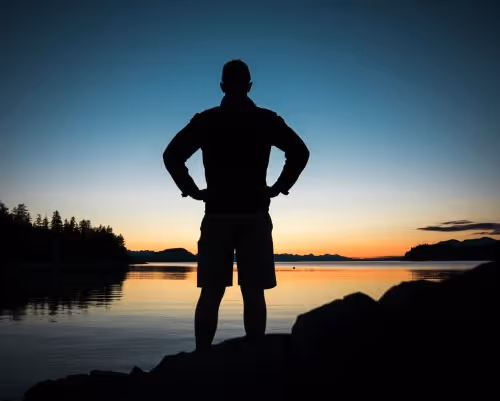 MrAnatoly Cleaner