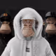 $Monkey$