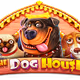 Dog House