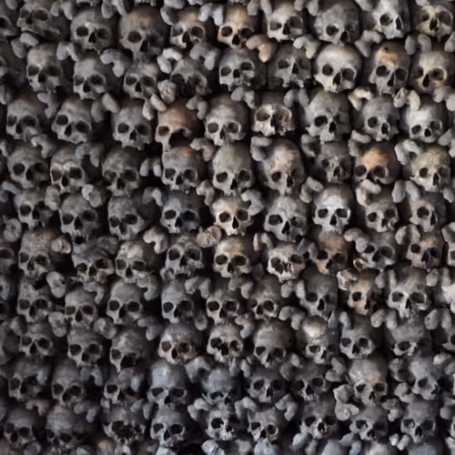 SKullz