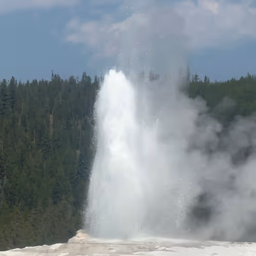 Geyser