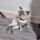 Lucy
