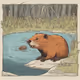 Beaver