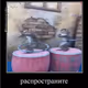 RASPROSTRANITE