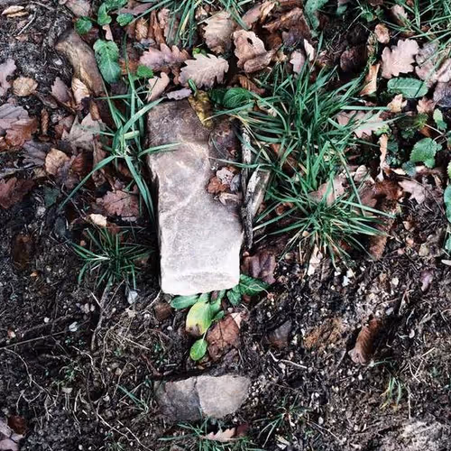 Bringing Damage Seems