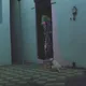 NUEVAS DIMENSIONES