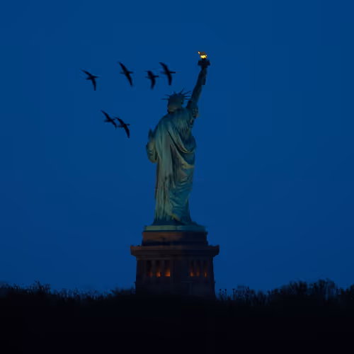 freedom of the moon 5