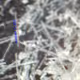 Fibres