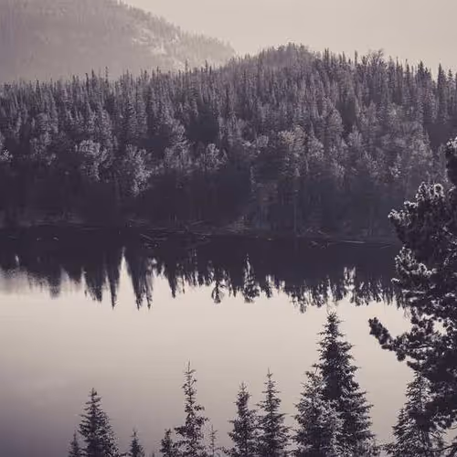 Ours Immigration Tions