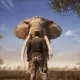 Elephant Giant Party