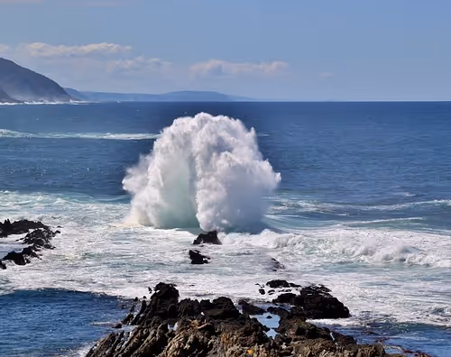 Seabreeze Bliss Chronicles