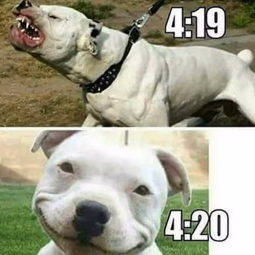 4:20 Doggo