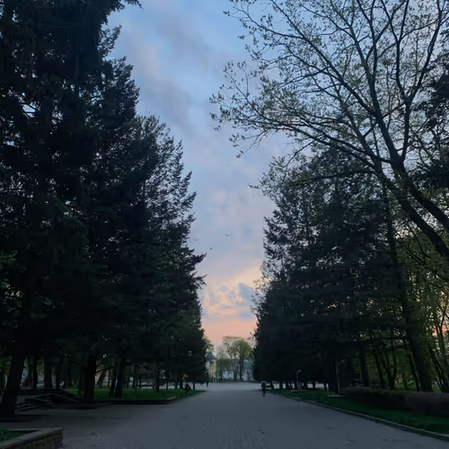 In the park