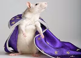 Crisa