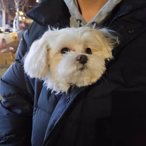 TEST123