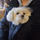 TEST123