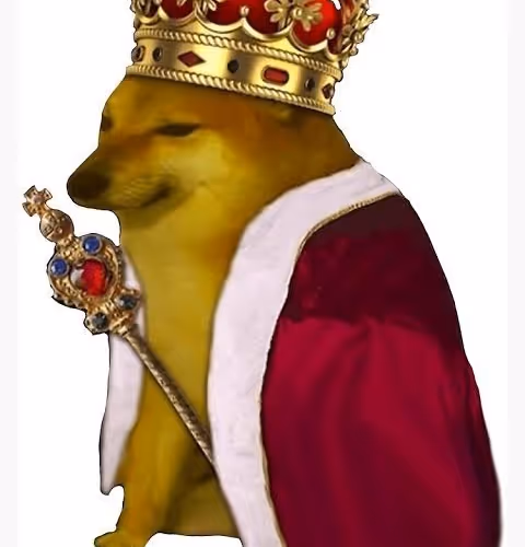 Doge king ZORa