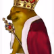 Doge king ZORa