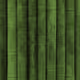 bambooo