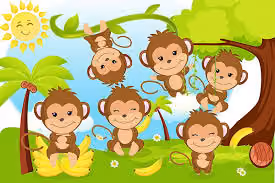 Monkey MoMo