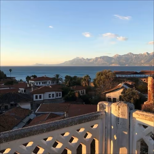 view