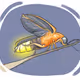 firefly
