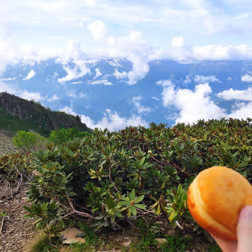 Mountain Donut